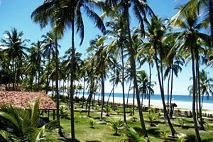 Land Cacau Coast