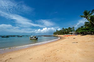 Praia do Forte Beach