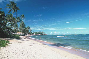 Praia do Forte Beach View