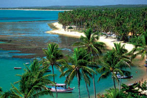 Praia do Forte View