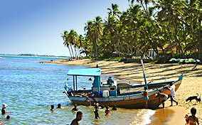 Praia do Forte Bahia