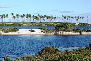 Praia do Forte Beach