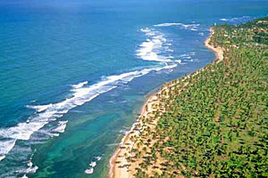 Praia do Forte Aerial View